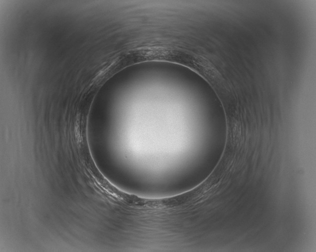X0000079581250200612011209