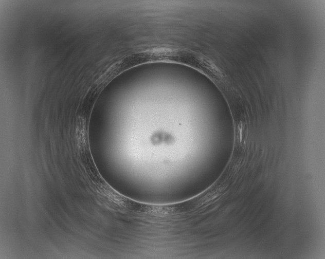 X0000079581251200612011209