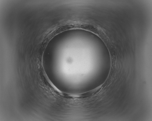 X0000079581253200612011209