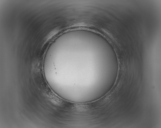 X0000079581258200612011209