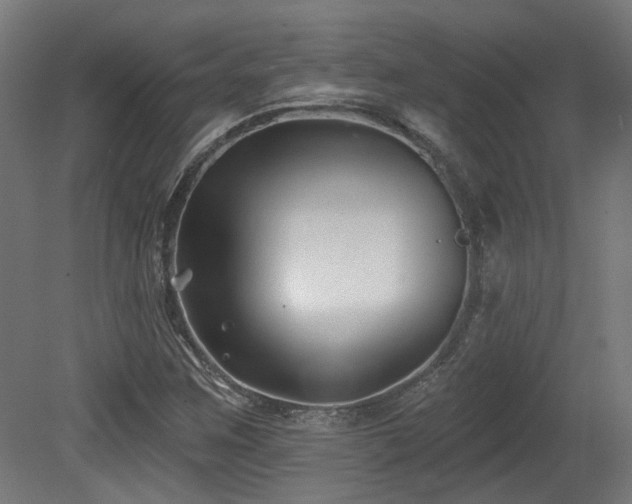 X0000079581259200612011209