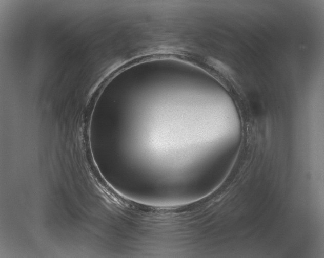 X0000079581260200612011209