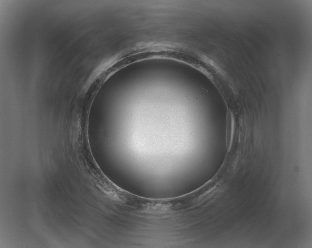 X0000079581261200612011209