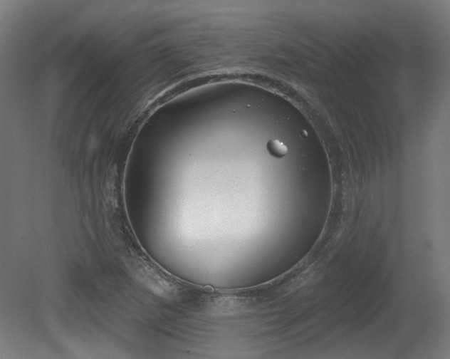 X0000079581265200612011209