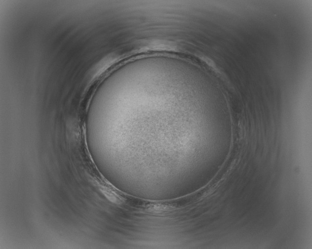 X0000079581266200612011209
