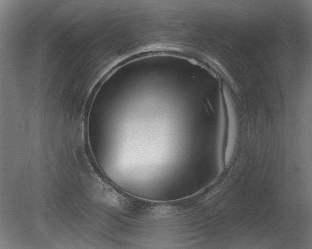 X0000079581268200612011209