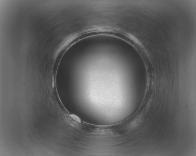 X0000079581269200612011209