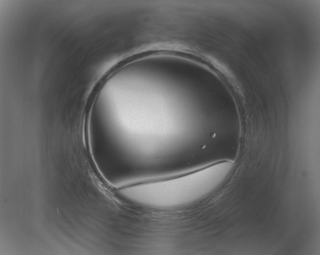 X0000079581272200612011208
