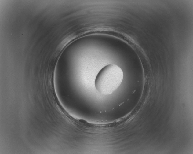 X0000079581273200612011208