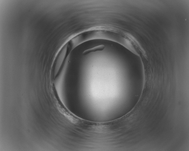 X0000079581276200612011208