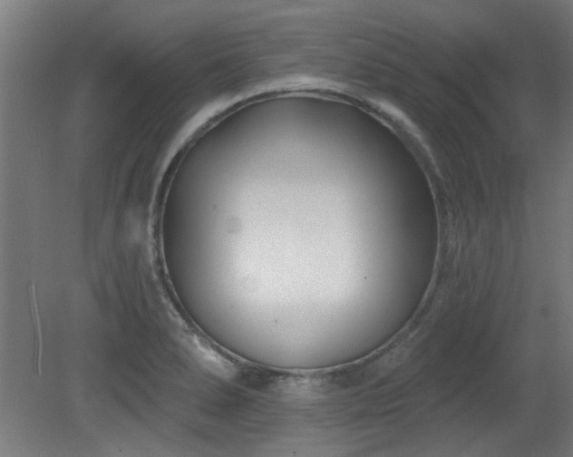 X0000079581278200612011208
