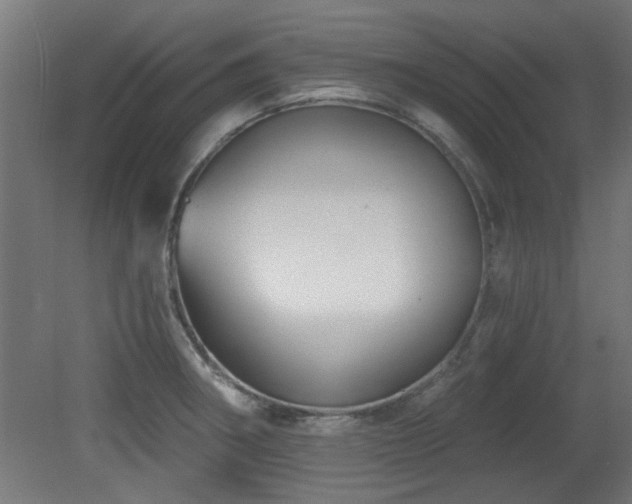 X0000079581282200612011208