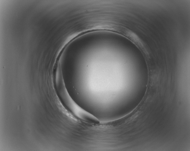 X0000079581284200612011208