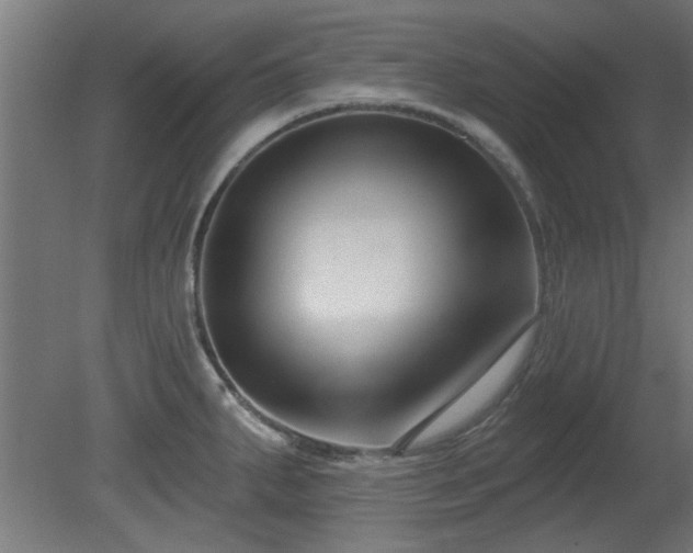 X0000079581287200612011208