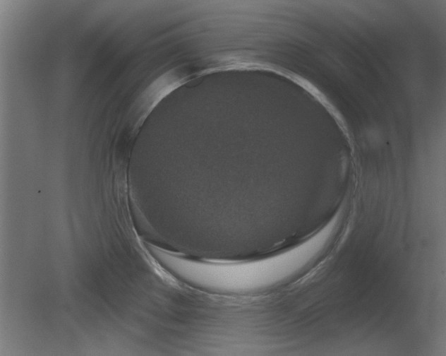 X0000079581289200612011208