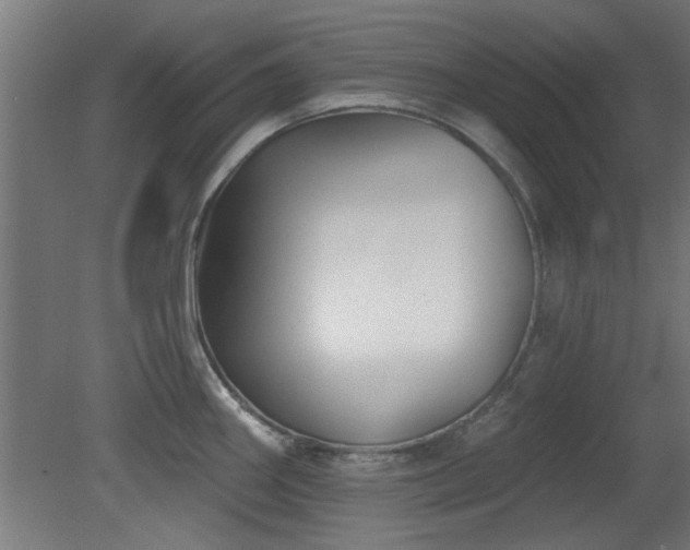 X0000079581290200612011208