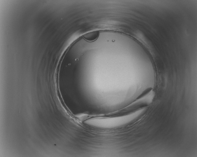 X0000079581291200612011208