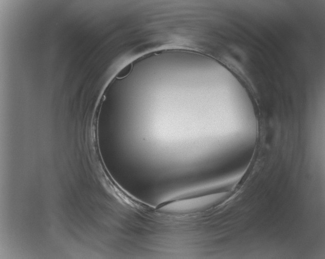 X0000079581292200612011208