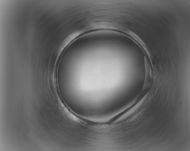 X0000079581293200612011208