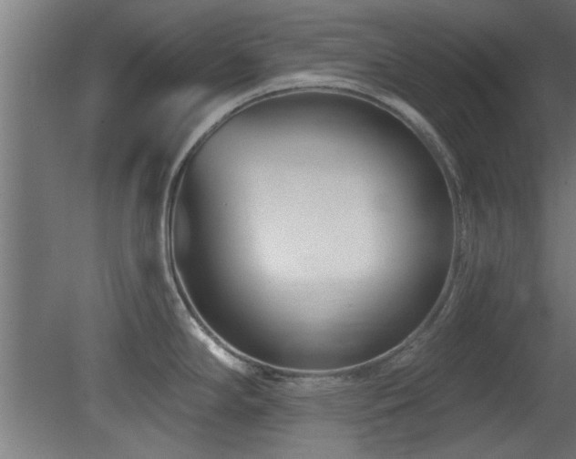 X0000079581294200612011208