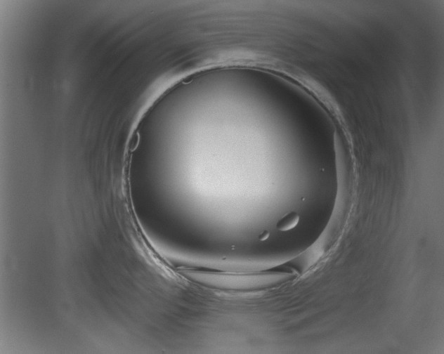 X0000079581296200612011208