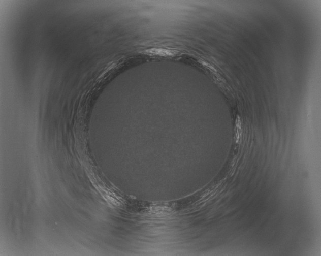 X0000079581297200612011207