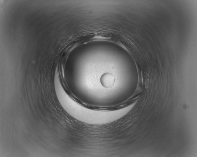 X0000079581298200612011207