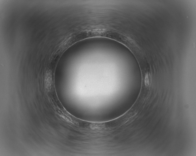 X0000079581299200612011207