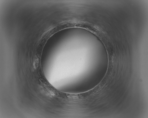 X0000079581302200612011207