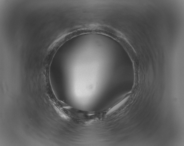 X0000079581304200612011207