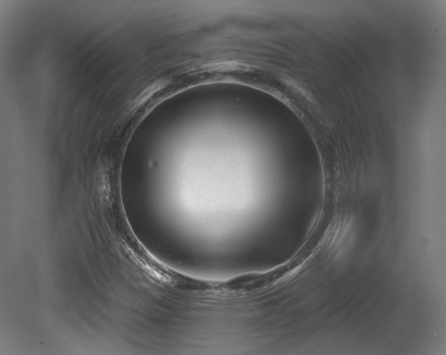 X0000079581305200612011207