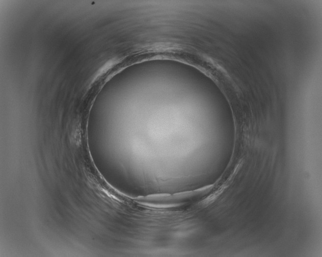 X0000079581306200612011207