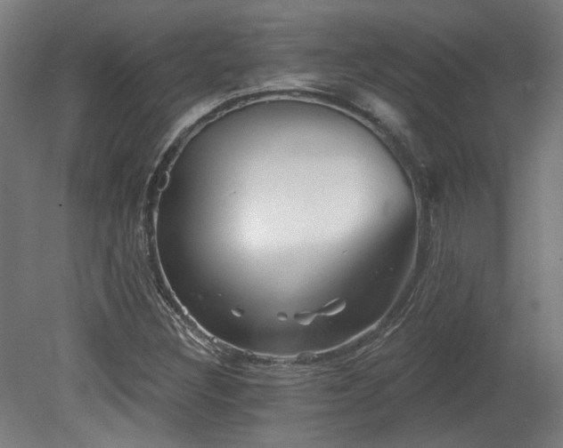 X0000079581308200612011207