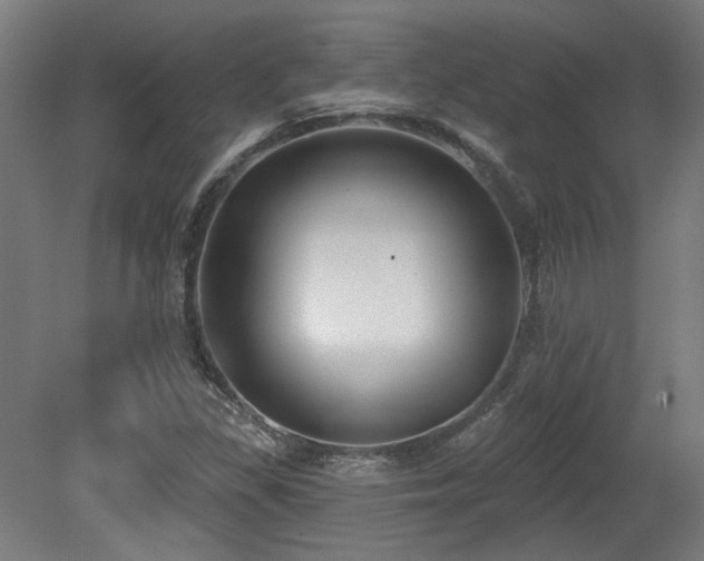 X0000079581309200612011207