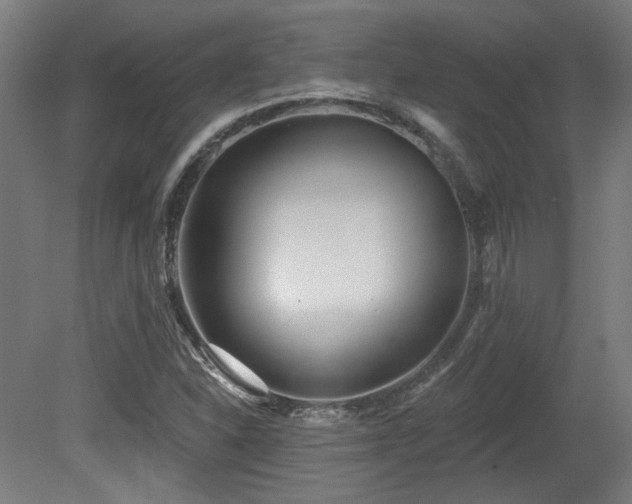 X0000079581310200612011208