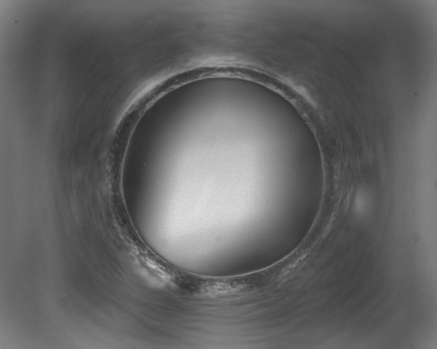 X0000079581311200612011208