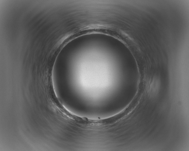 X0000079581313200612011208