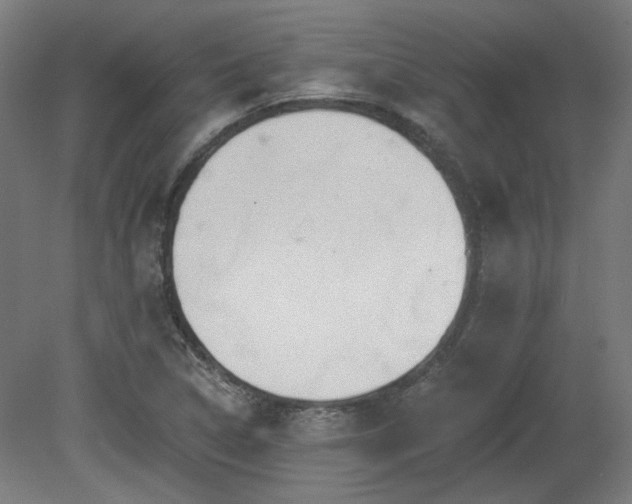 X0000079581314200612011208
