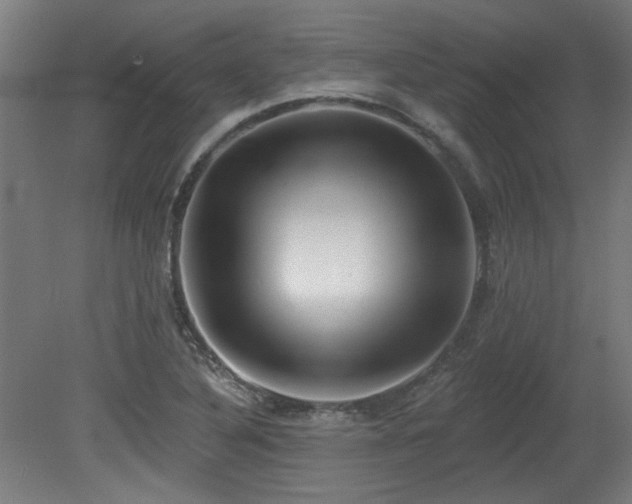 X0000079581316200612011208