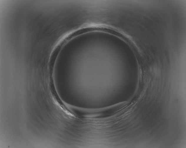 X0000079581319200612011208