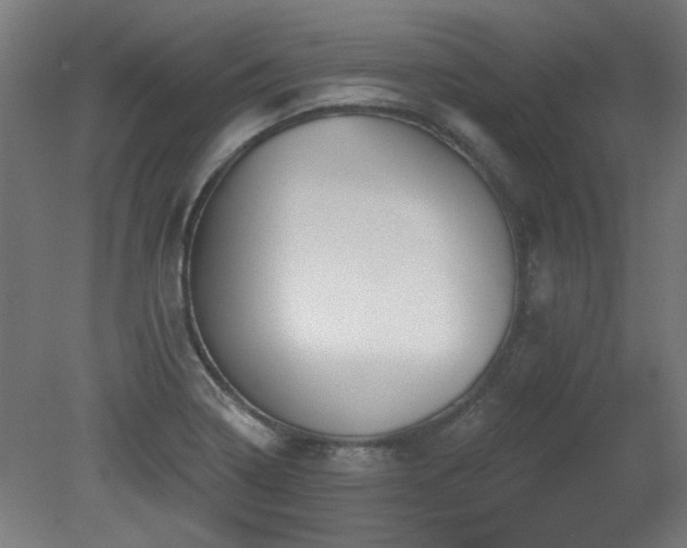 X0000079581322200612011208