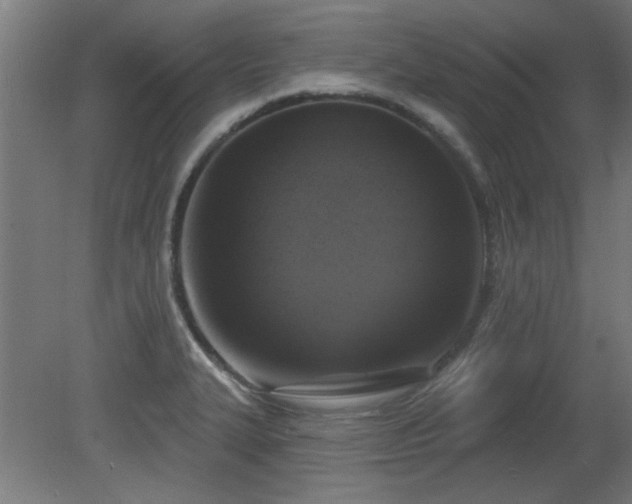 X0000079581327200612011208