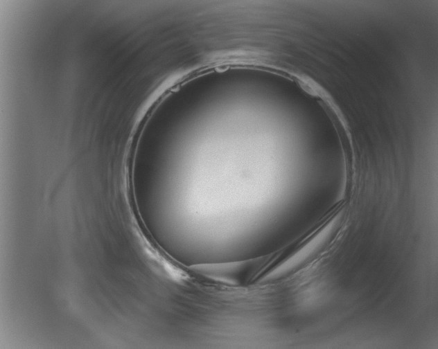 X0000079581341200612011208
