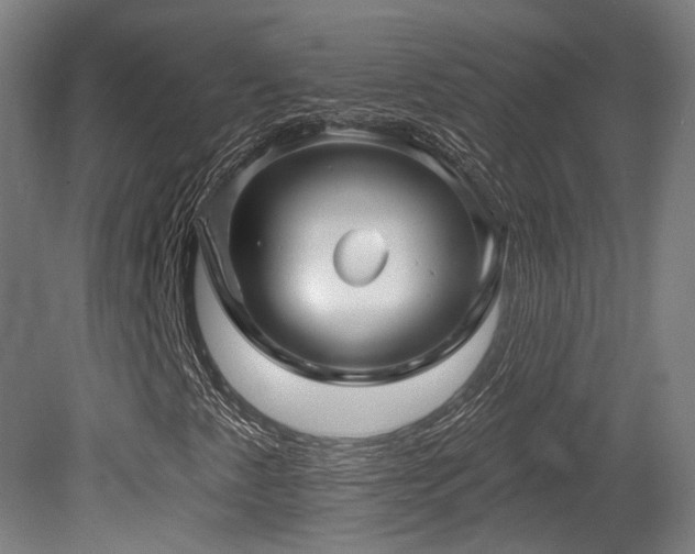 X0000079581345200612011207