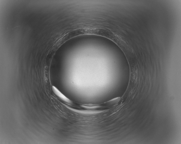 X0000079581346200612011207