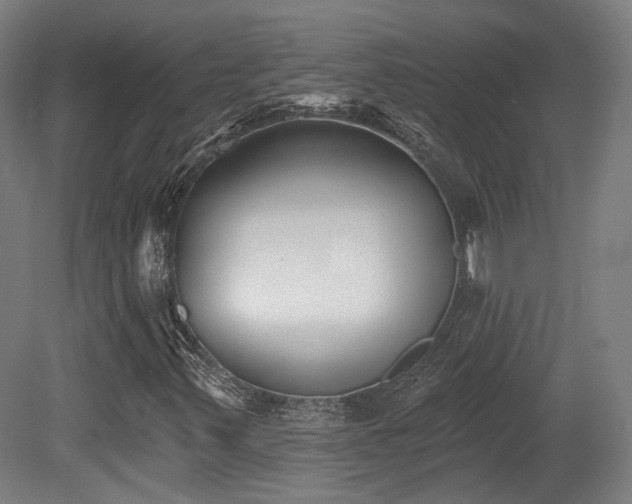 X0000079581347200612011207