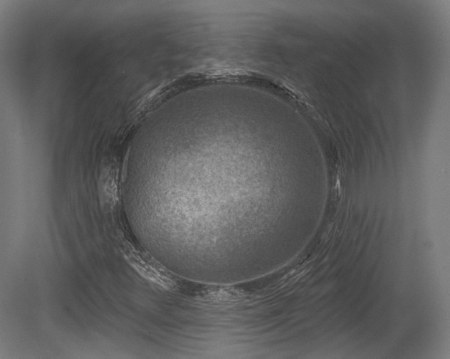 X0000079581348200612011207