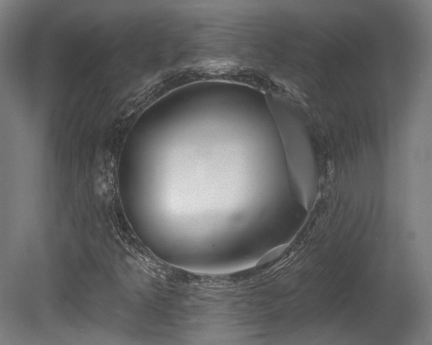 X0000079581349200612011207