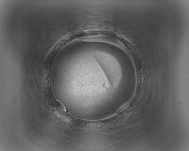 X0000079581351200612011207