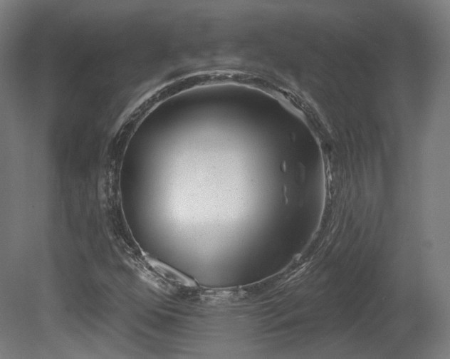 X0000079581352200612011207